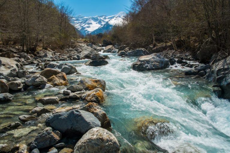 Rivière Solenzara : Lieu de Baignade Enchanté en Corse